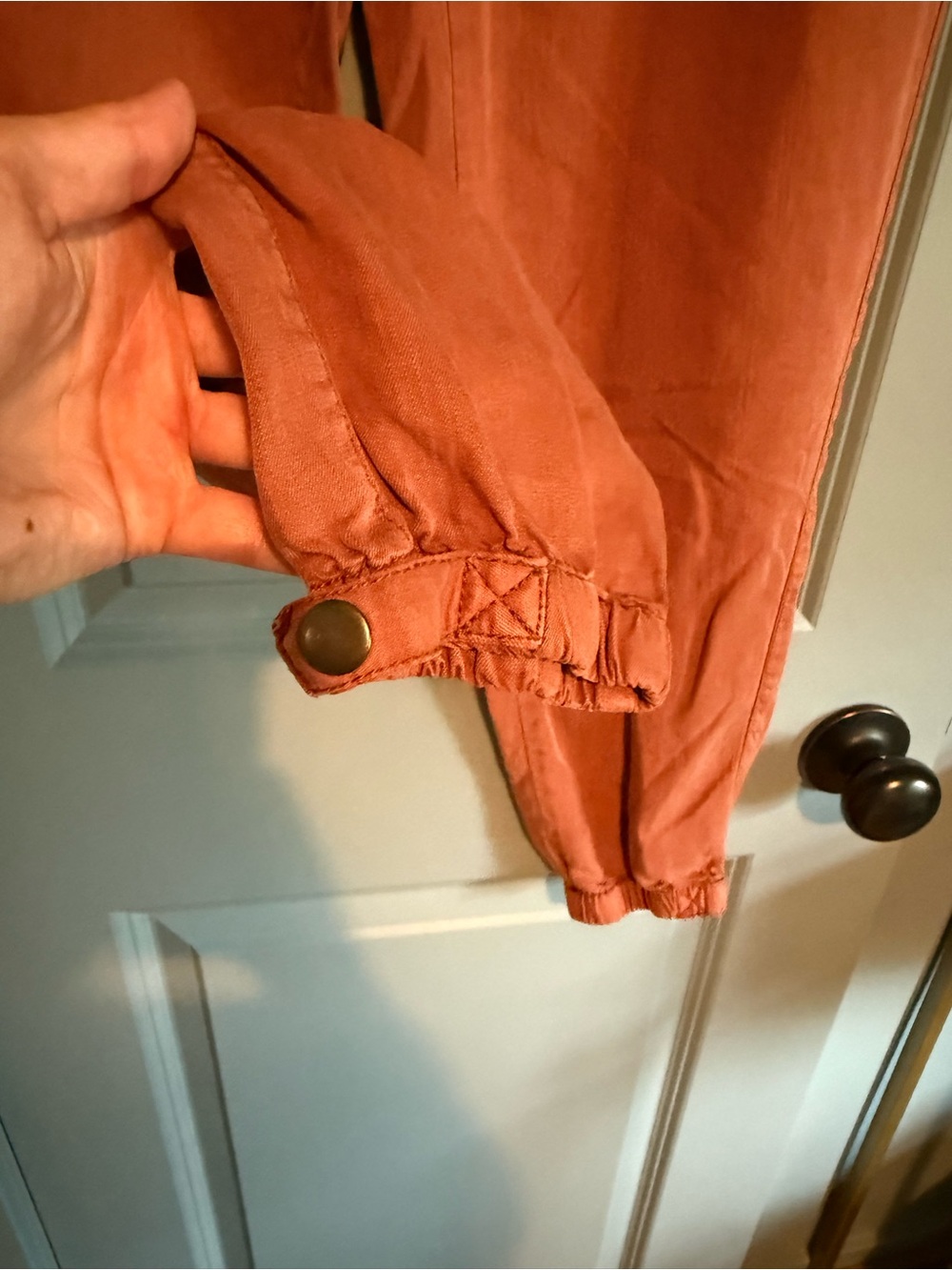 Thread & Supply  Rust Drawstring Jogger Pants - Picture 5 of 5